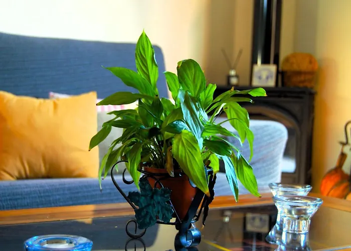 La Majadera In Mit Panoramablick