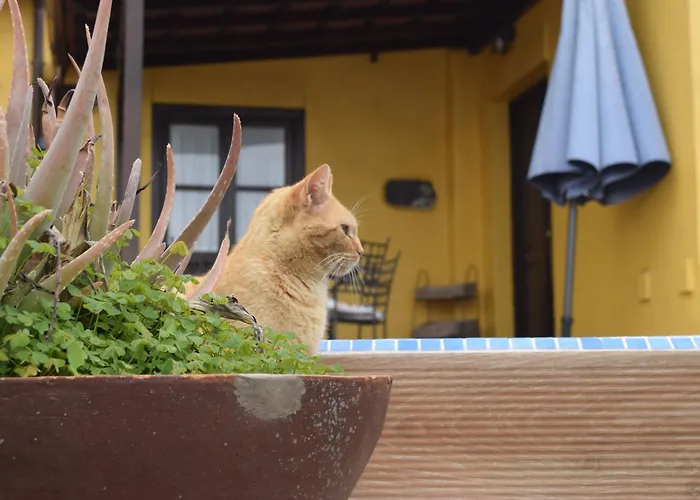 La Majadera In Mit Panoramablick *